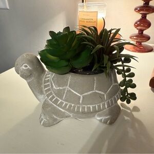 Gray Turtle Planter with Green Succulents (FAKE)